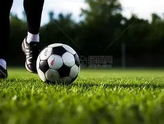 吉林新春基,层走访,项目启动忙,nba比分网,NBA即时比分,NBA篮球比分,NBA比赛数据,篮球赛事比分