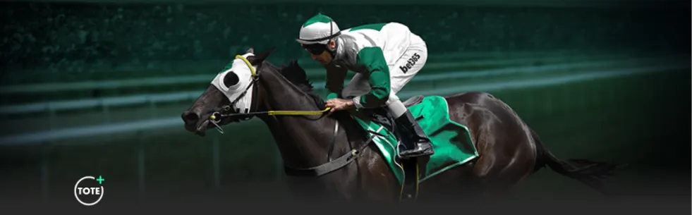 秦思玥因手,机作弊遭围,棋协会剥夺,nba比分网,NBA即时比分,NBA篮球比分,NBA比赛数据,篮球赛事比分