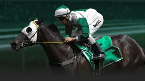 “秦思玥因手机作弊遭围棋协会剥夺职业段位并禁赛八年——赛事处罚结果”