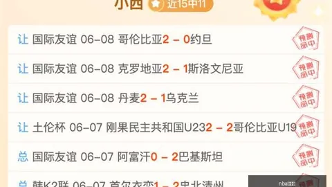 公交车检票员模拟器深度体验：独家解析这款野心之作的变形战斗机制